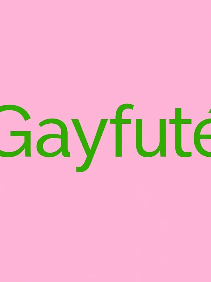 Gayfuté avis 2026 : mon test du site de rencontres gay sans tabou