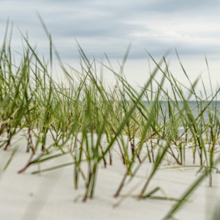 Planscul : notre avis sur ce site cul discret et efficace