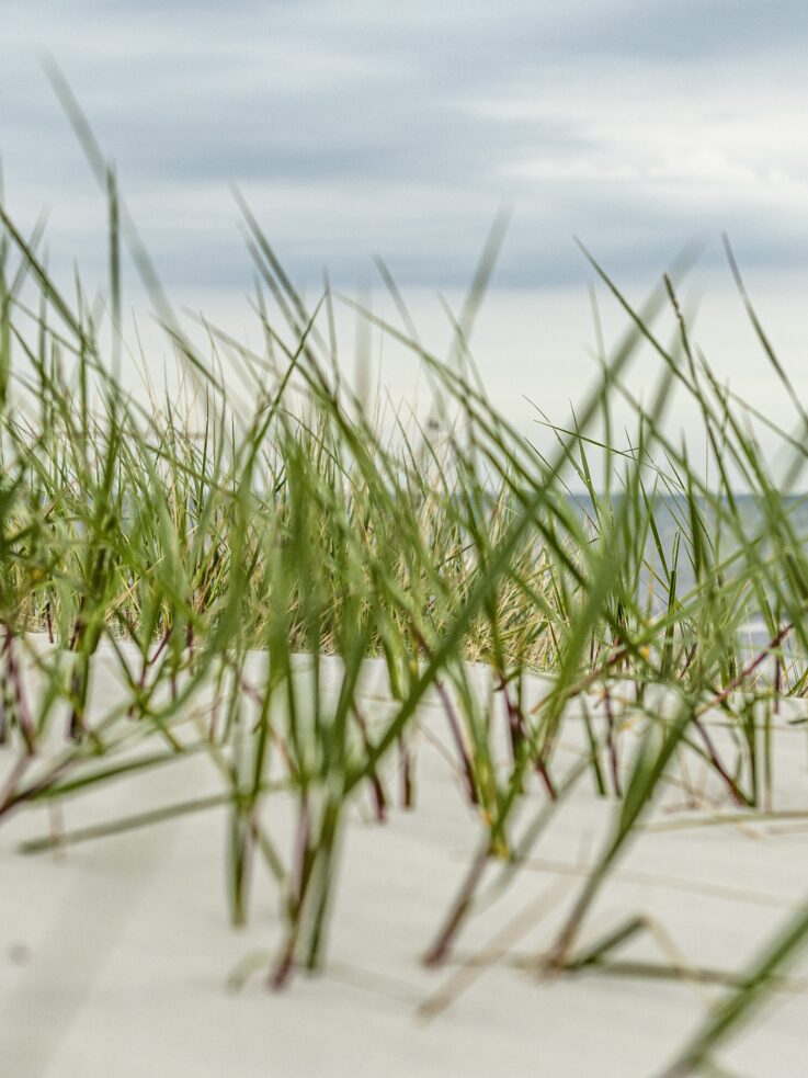 Planscul : notre avis sur ce site cul discret et efficace